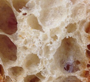 Moore Bread Close Up-1