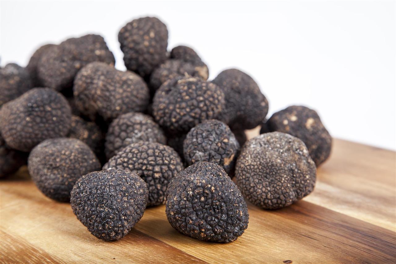 Fresh Black Winter Truffles (Seasonal) – per 1 ounce truffle – Caputo's ...