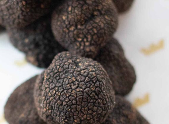 Fresh Black Italian Summer Truffle Combo