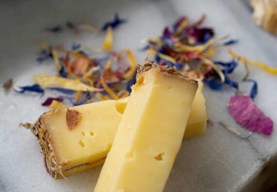 Alp Blossom - a fragrant, floral cow’s milk cheese | Murray's Cheese