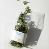 Daphnis and Chloe Our Lemon Verbena Herbal Tea (3) Styled For WEB