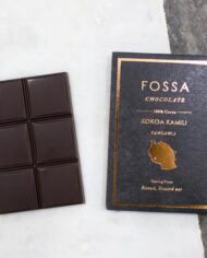 Fossa-Tanzania-100-Styled