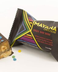 Mayana-Pride-Mini-Bar_styled