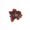 Ranger-Chocolate-Turtle,-1pc-Open-For-Web