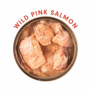 Scout-Wild-Pink-Salmon-open-for-web