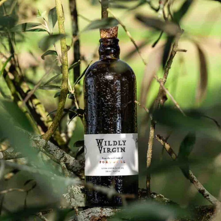 Wildy Virgin Joaos Arbosana for Web