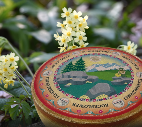 rockflower